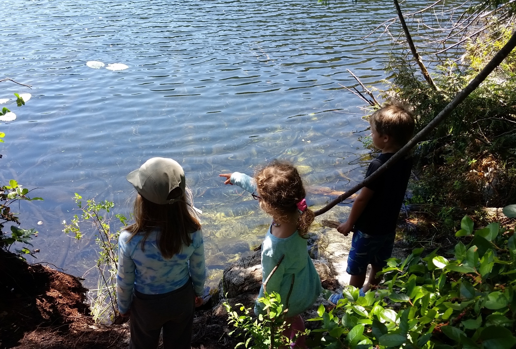 three campers looking into the water