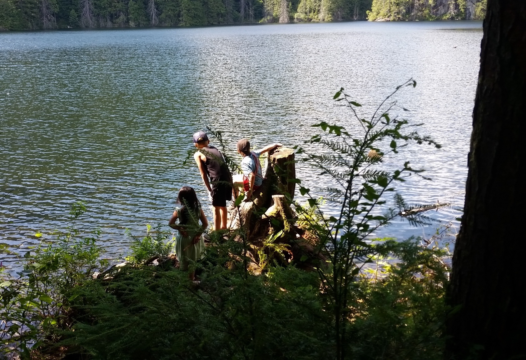 campers looking out at the water