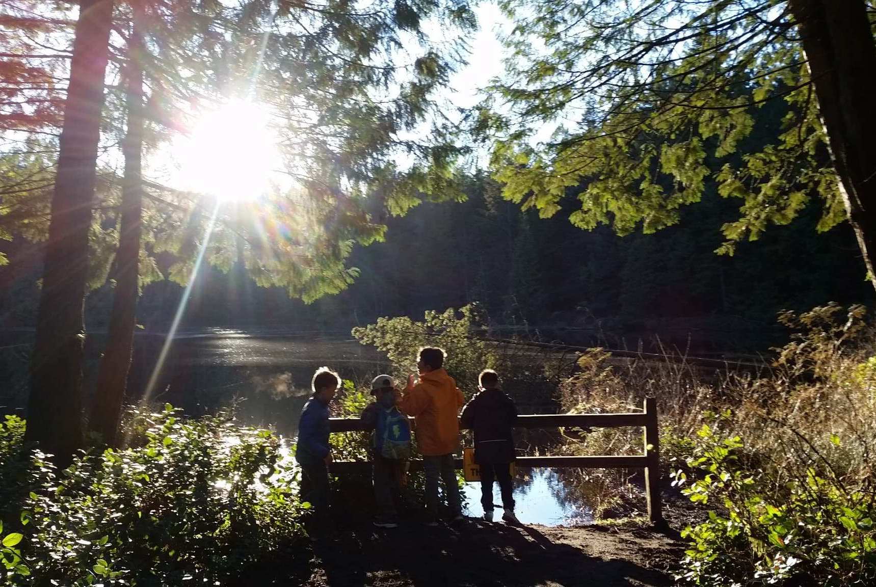 Four kids in the forest looking off into the distance