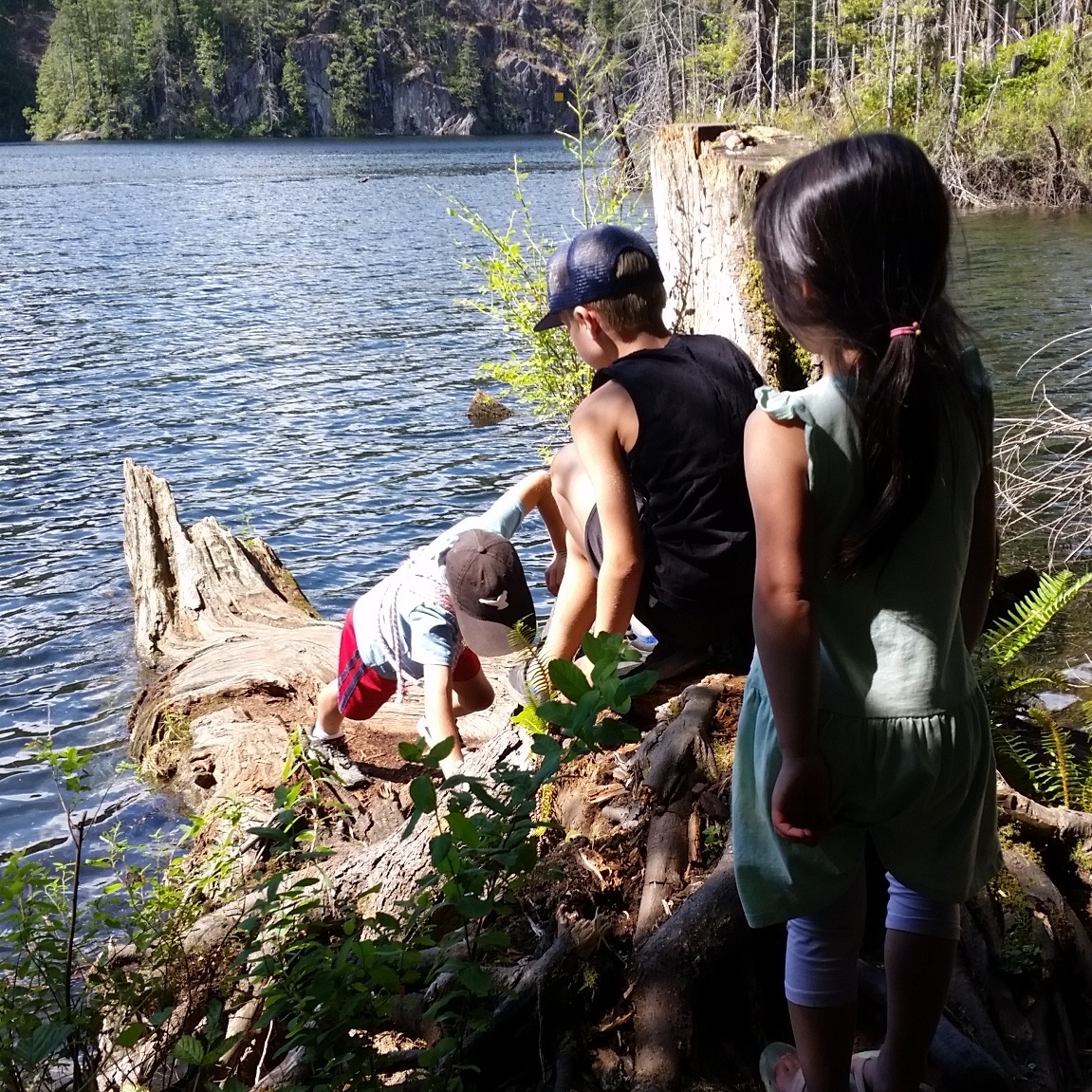 Forest exploration by a river
