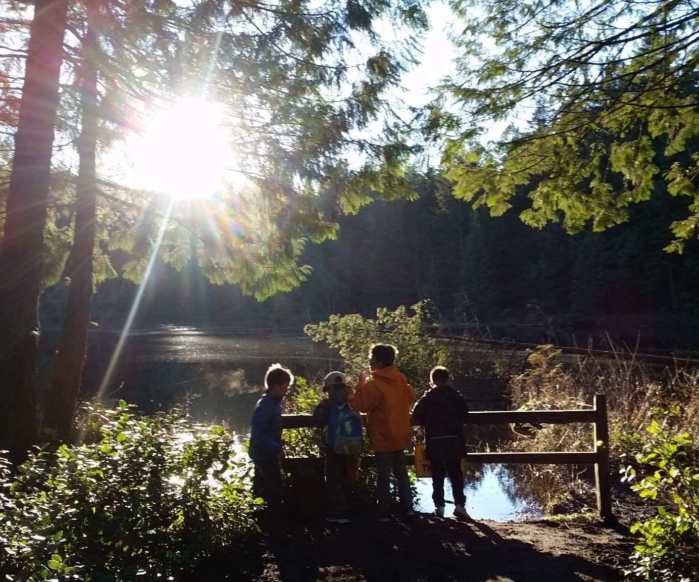 four campers in the forest looking out at the lake